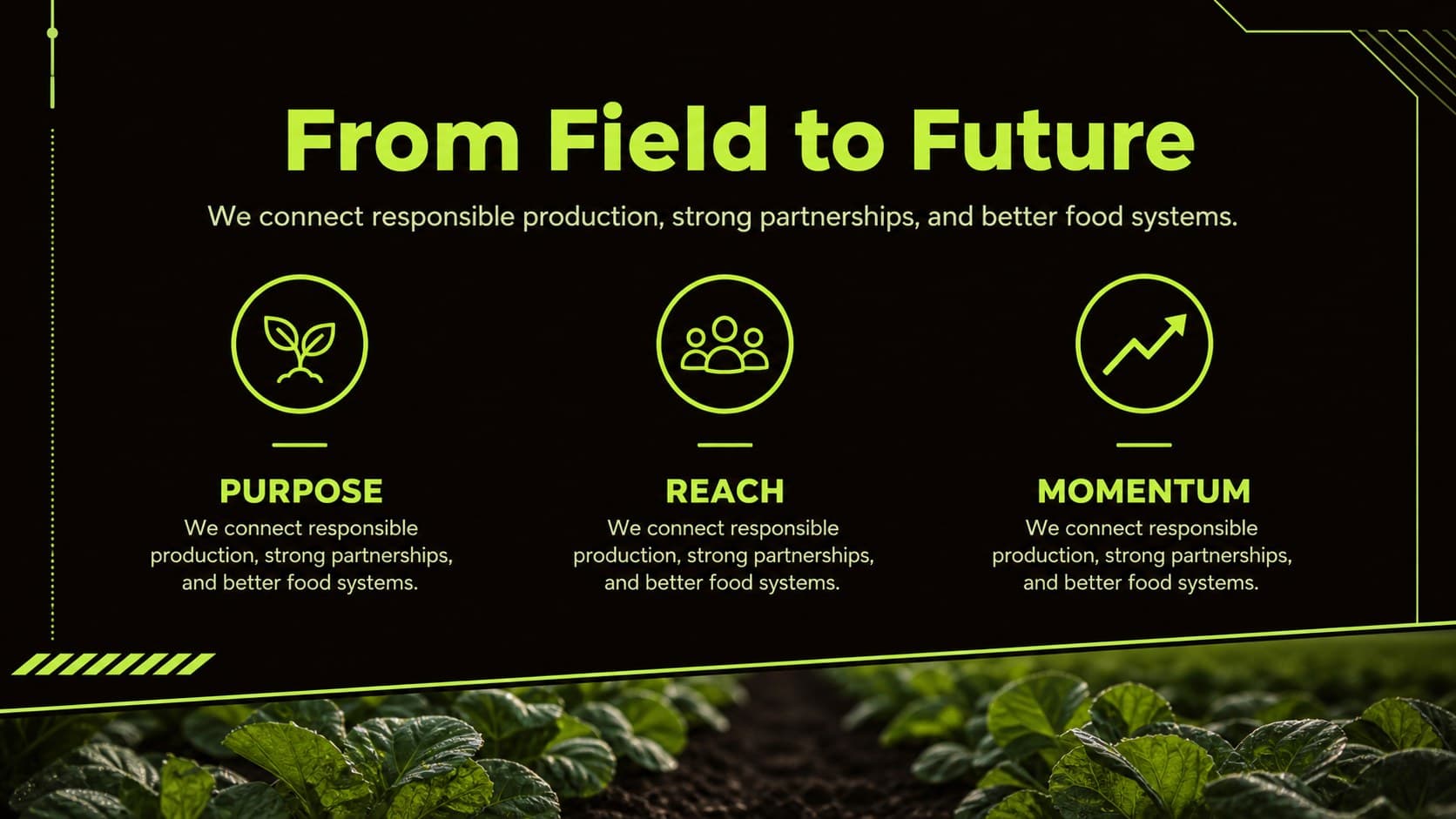 Agri-food company overview slide showing a concise business story and operating focus.