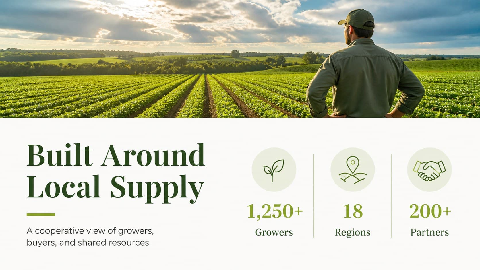Agribusiness company profile slide presenting a farm cooperative and its operating focus.