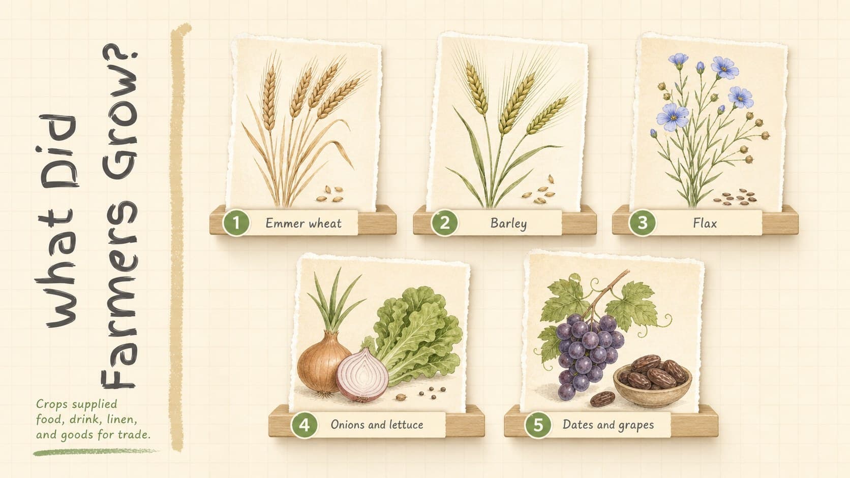 Ancient Egypt crops and irrigation slide featuring wheat, barley, flax, vegetables, and fruit.