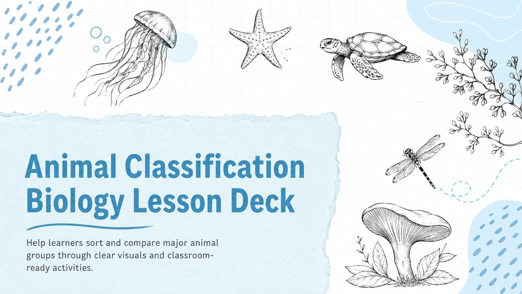 Cover of an animal classification biology lesson deck with original vertebrate and invertebrate sketches in blue and white.