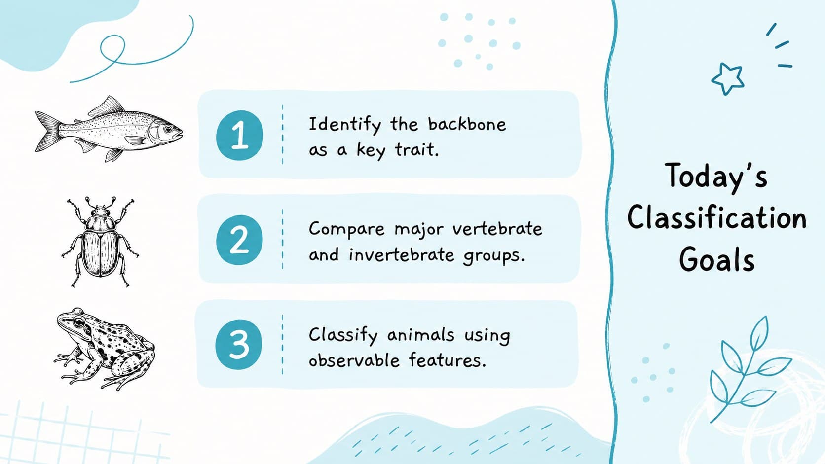 Biology lesson objectives slide outlining animal classification goals with minimalist blue sketches.