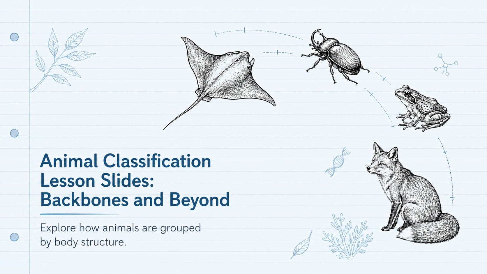 Cover of the Animal Classification Lesson Slides featuring blue hand-drawn vertebrate and invertebrate examples on a white background.