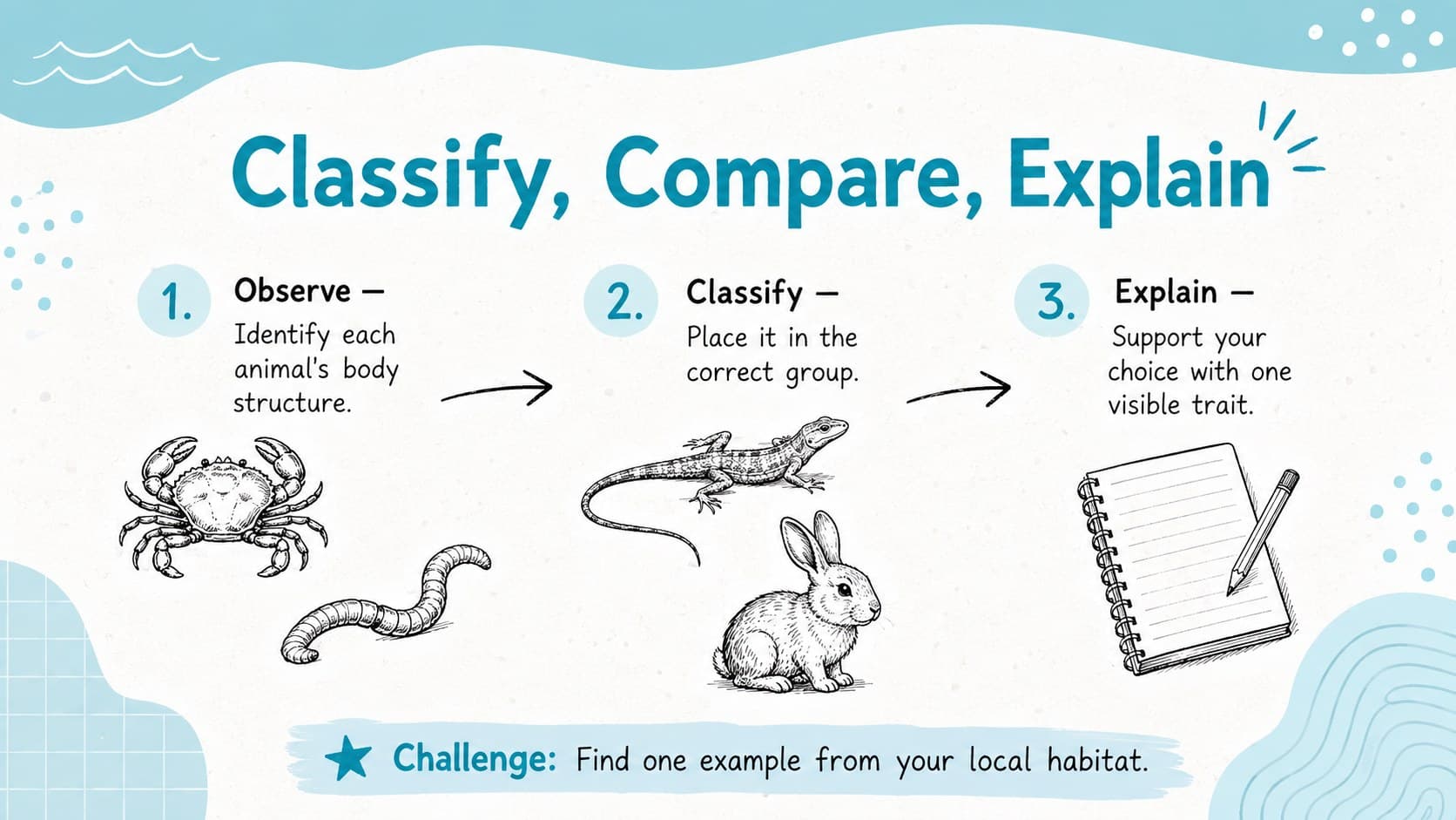 Animal classification lesson activity slide with observation prompts and blue sketch-style species cards.