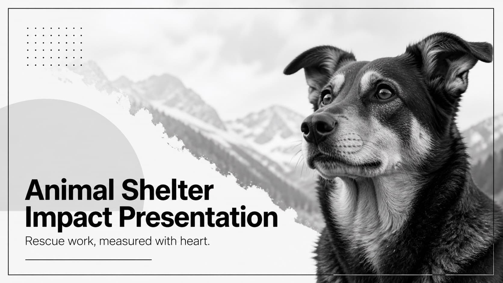 Animal Shelter Impact Presentation preview