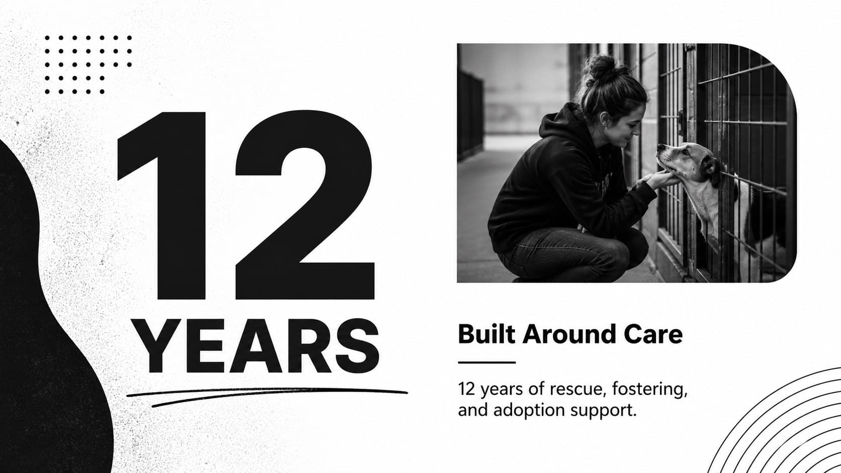 Animal rescue organization overview slide with a bold statistic, shelter details, and a black-and-white dog photograph.