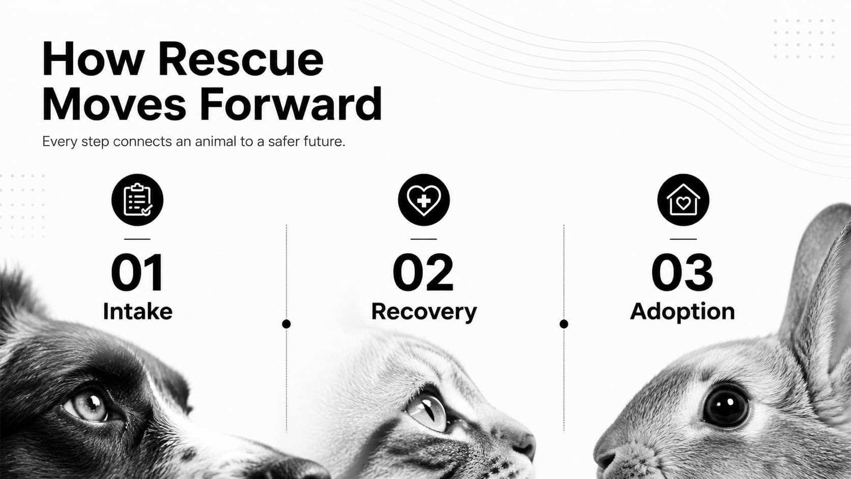 Rescue operations slide displaying three monochrome workflow stages for intake, recovery, and adoption.