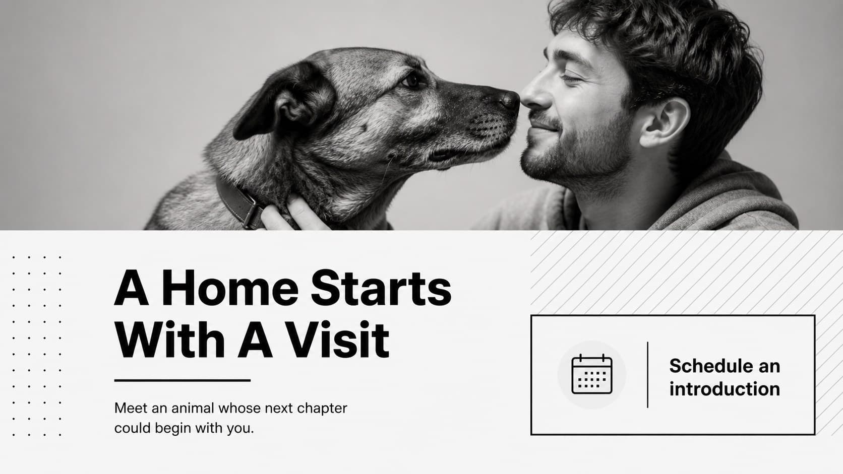 Adoption campaign slide combining a monochrome animal portrait with a clear call to schedule a shelter visit.