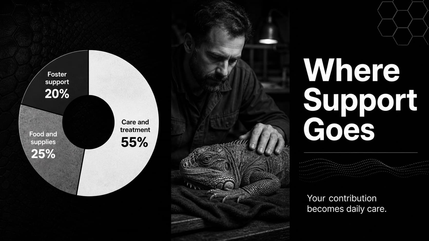 Donor update slide showing a simple fund allocation chart and a grayscale photograph from animal rescue work.