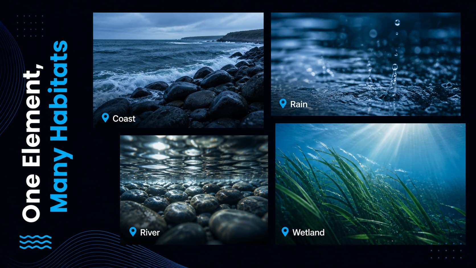 Environmental water presentation slide with four habitat images arranged in an editorial photo grid.