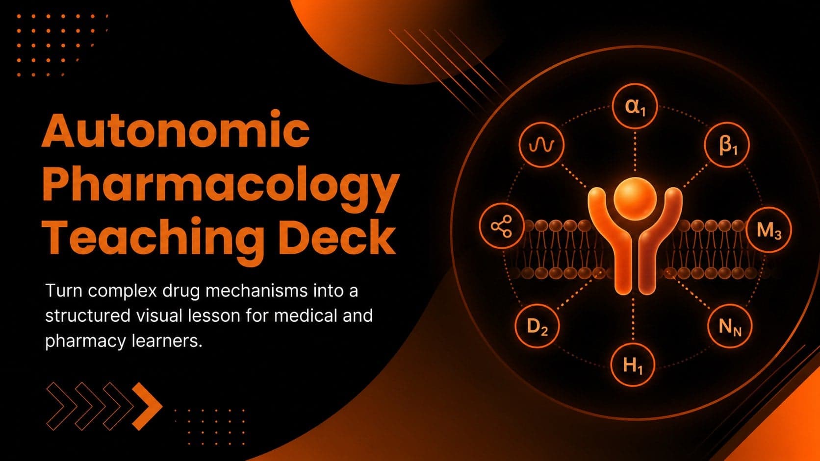 Autonomic Pharmacology Teaching Deck preview