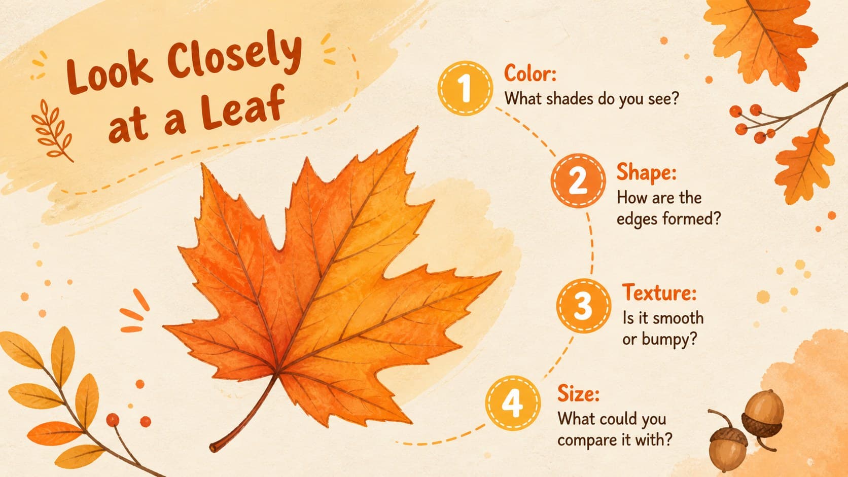 Autumn leaf observation activity slide with prompts for color, shape, texture, and size.