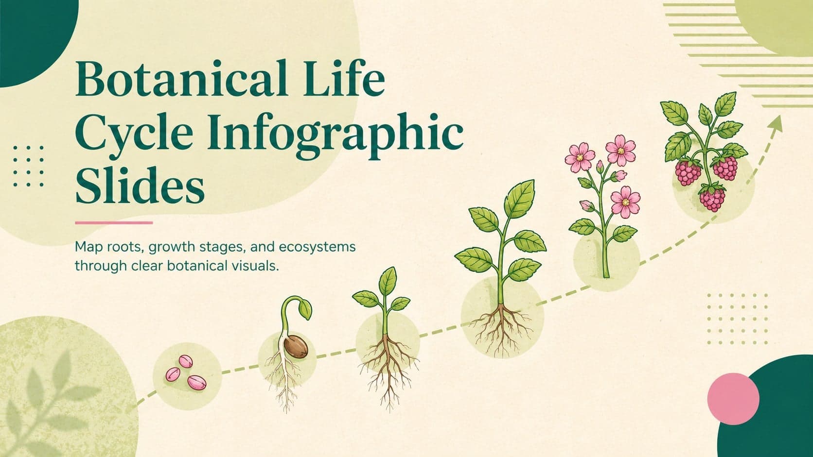 Cover of Botanical Life Cycle Infographic Slides with illustrated leaves, seeds, roots, and flowers in green, beige, and pink.
