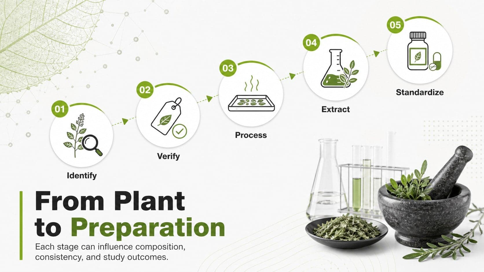 Medicinal plants lecture deck slide showing the process from plant identification to finished preparation.