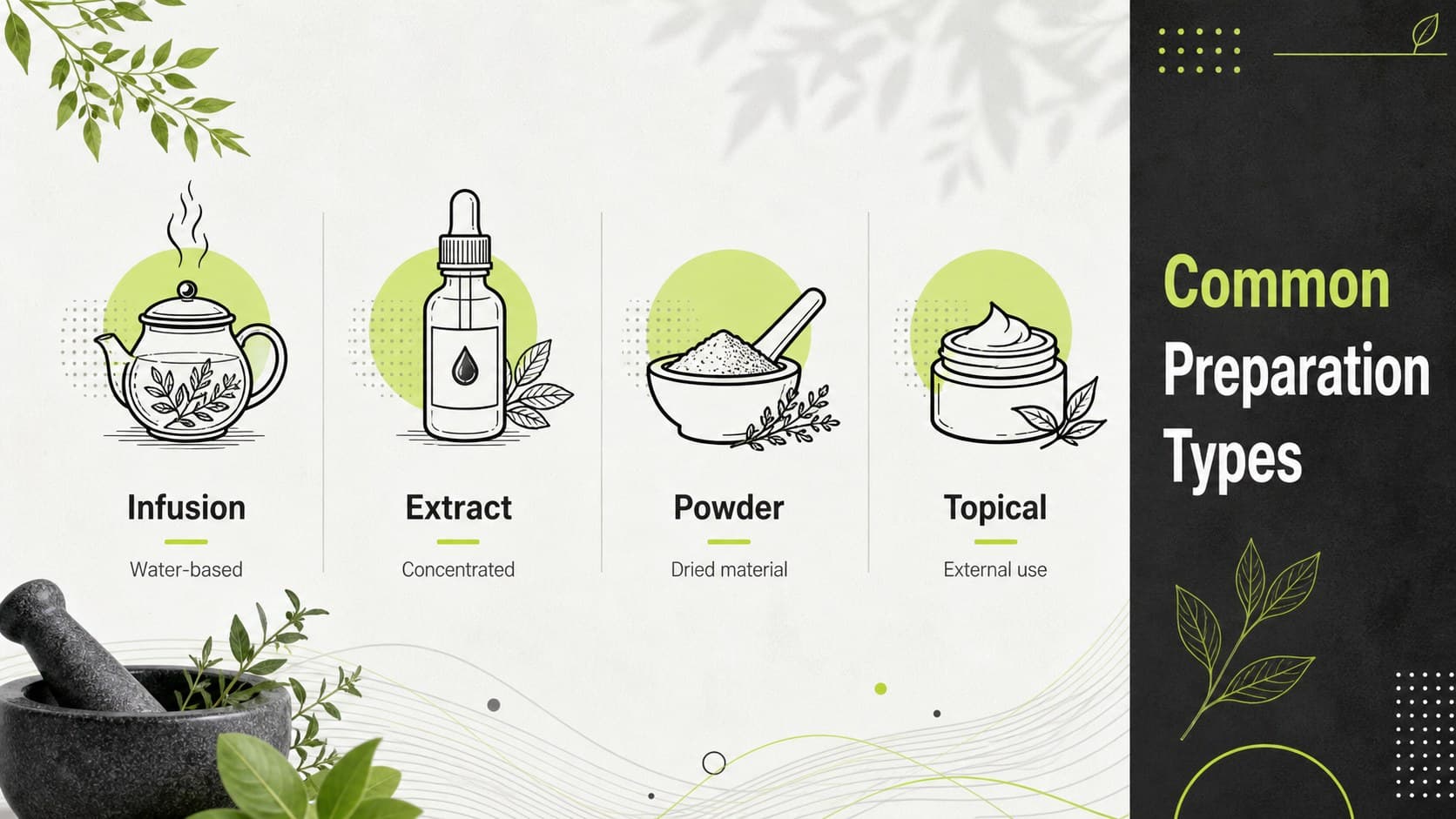 Botanical pharmacology presentation slide comparing extracts, infusions, powders, and topical preparations.