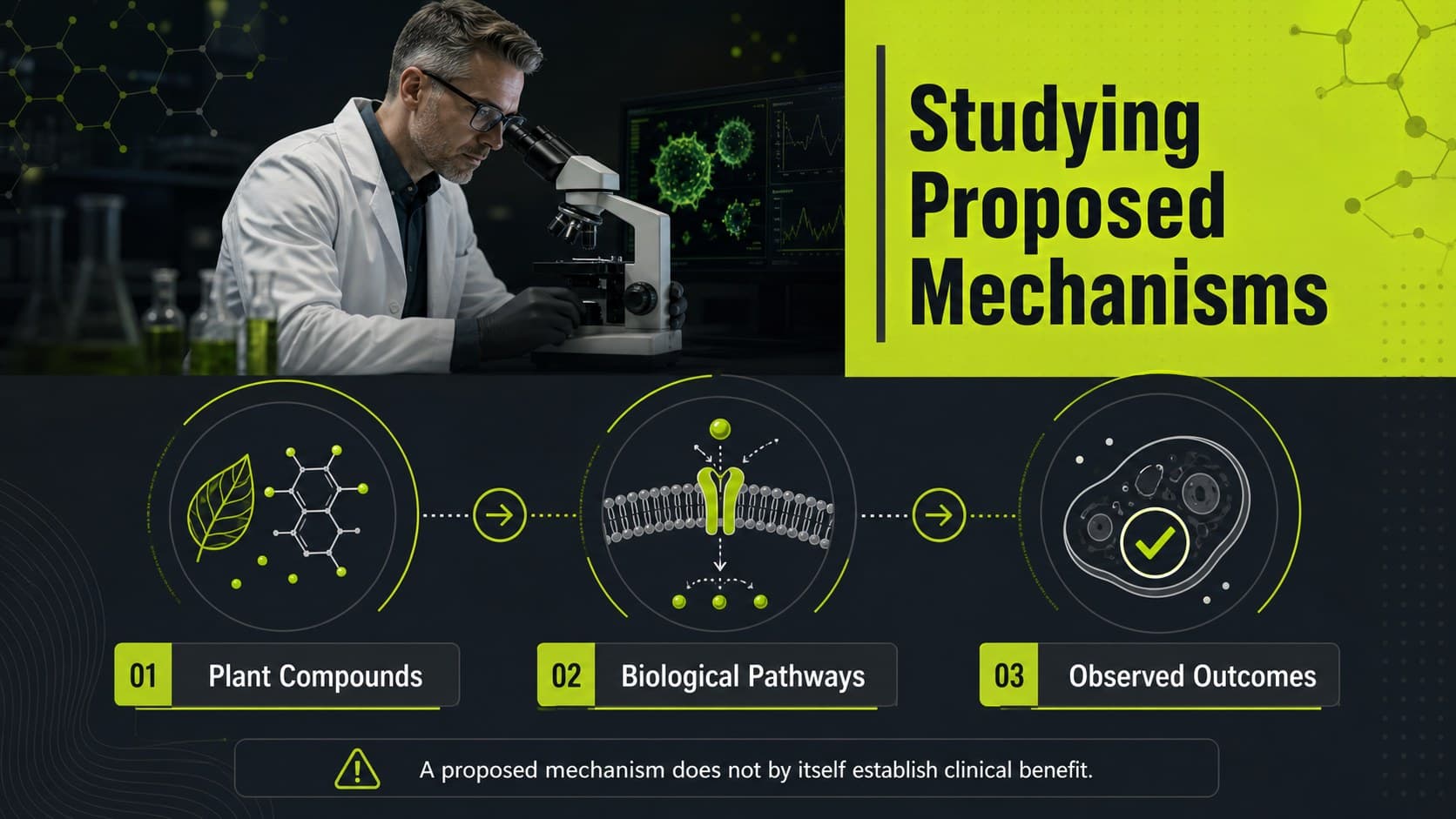 Botanical medicine research deck slide mapping compounds to biological pathways and observed outcomes.