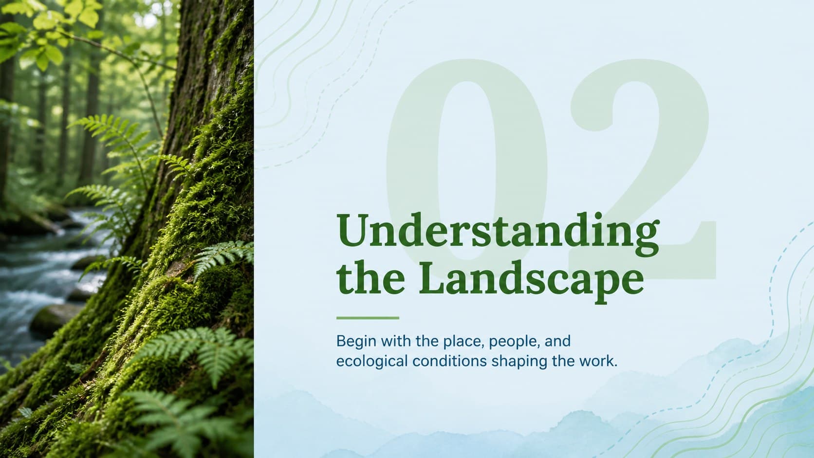 Nature presentation section opener featuring a forest detail and the headline Understanding the Landscape.