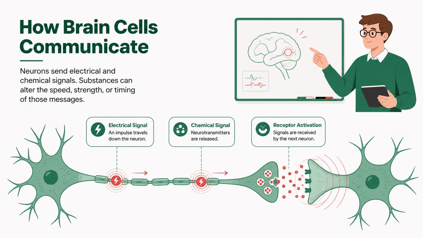 Brain health education presentation slide showing how neurons exchange chemical and electrical signals.