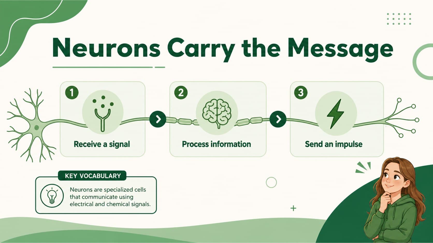 Neuroscience classroom slides explaining neurons as the basic communication cells of the brain.
