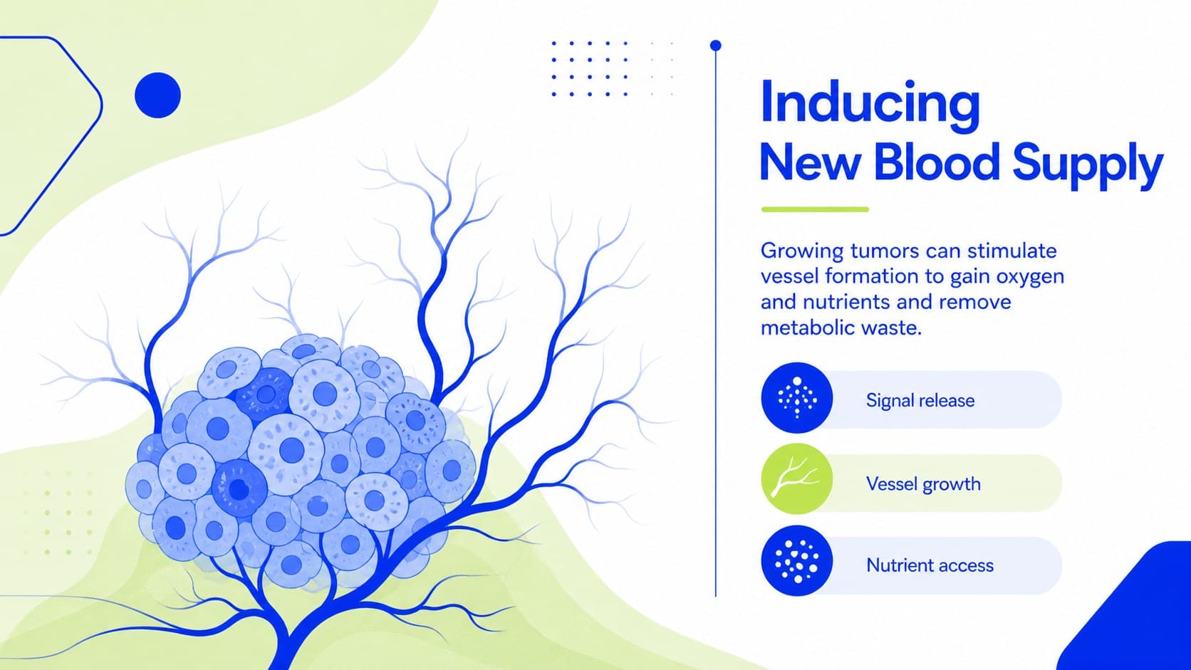 Cancer research seminar template slide illustrating angiogenesis around a growing tumor.
