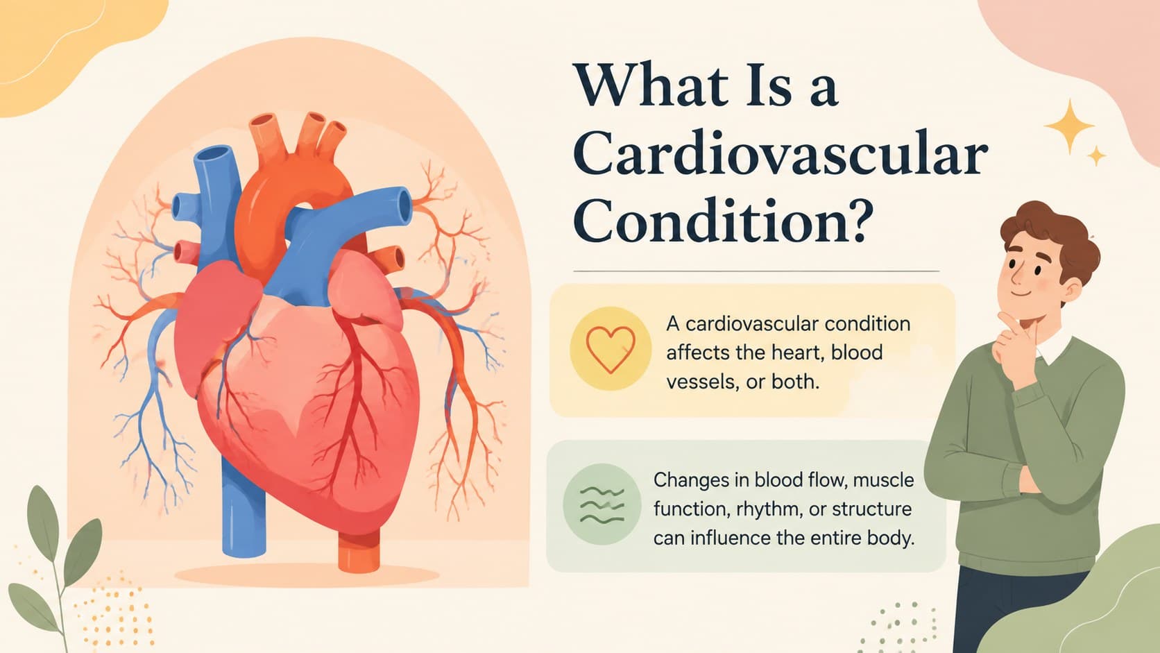 Cardiovascular system overview showing the heart and blood vessels in a beige illustrated teaching layout.