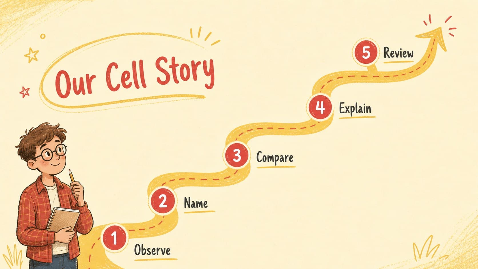 Lesson roadmap slide mapping the stages of a visual biology lesson from cells to review.
