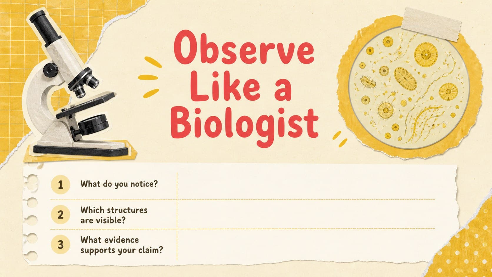 Microscope observation activity slide prompting students to examine and record cell evidence.