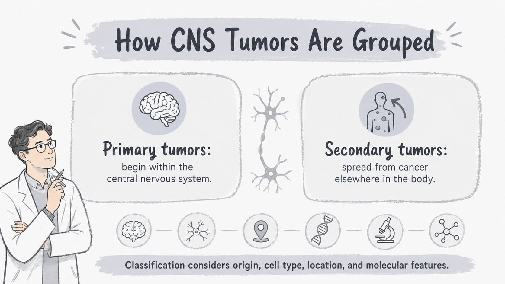 Brain and spinal cord tumor presentation slide comparing primary and secondary tumor categories.