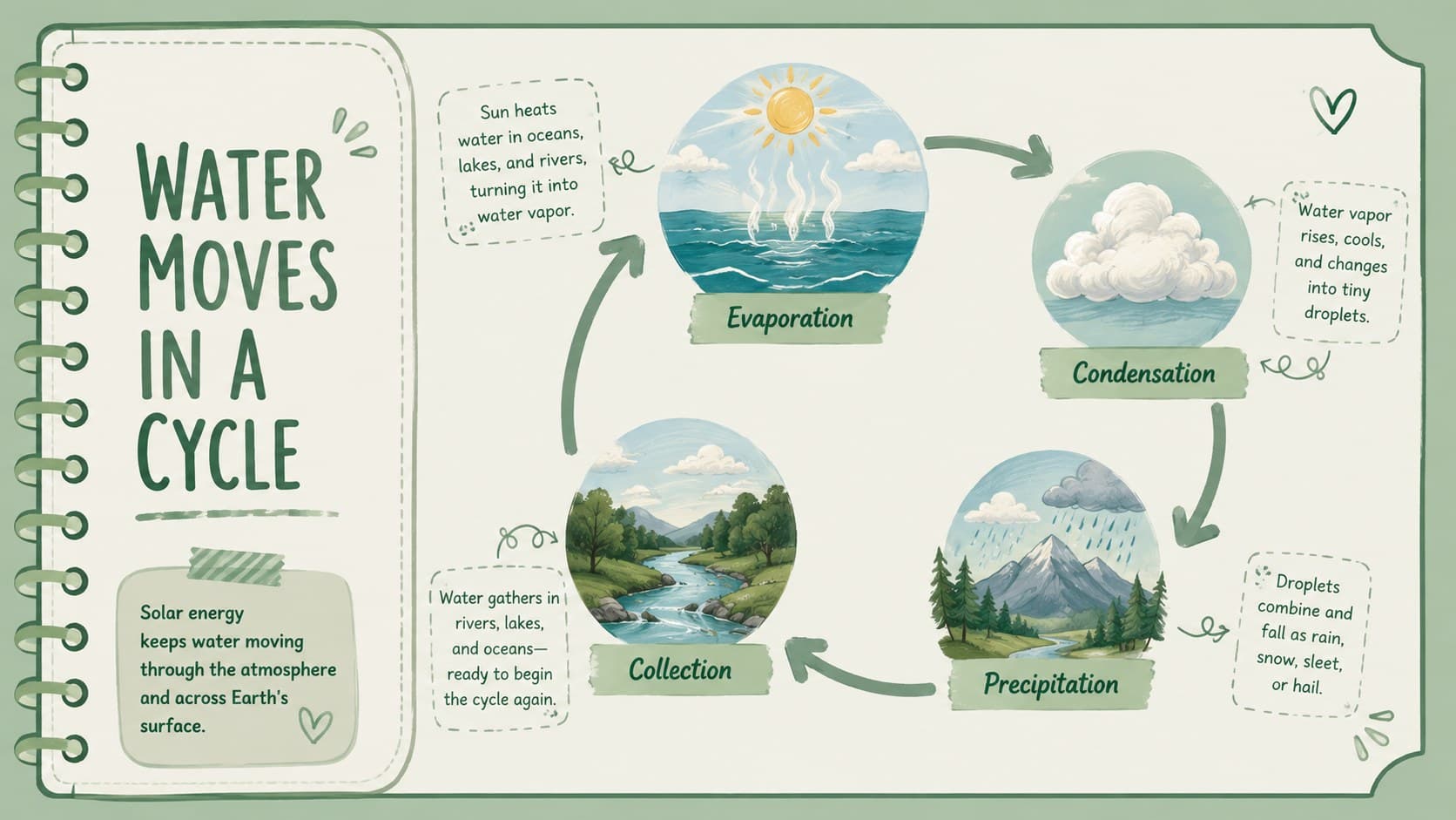 Green science lesson slide showing the stages of the water cycle.