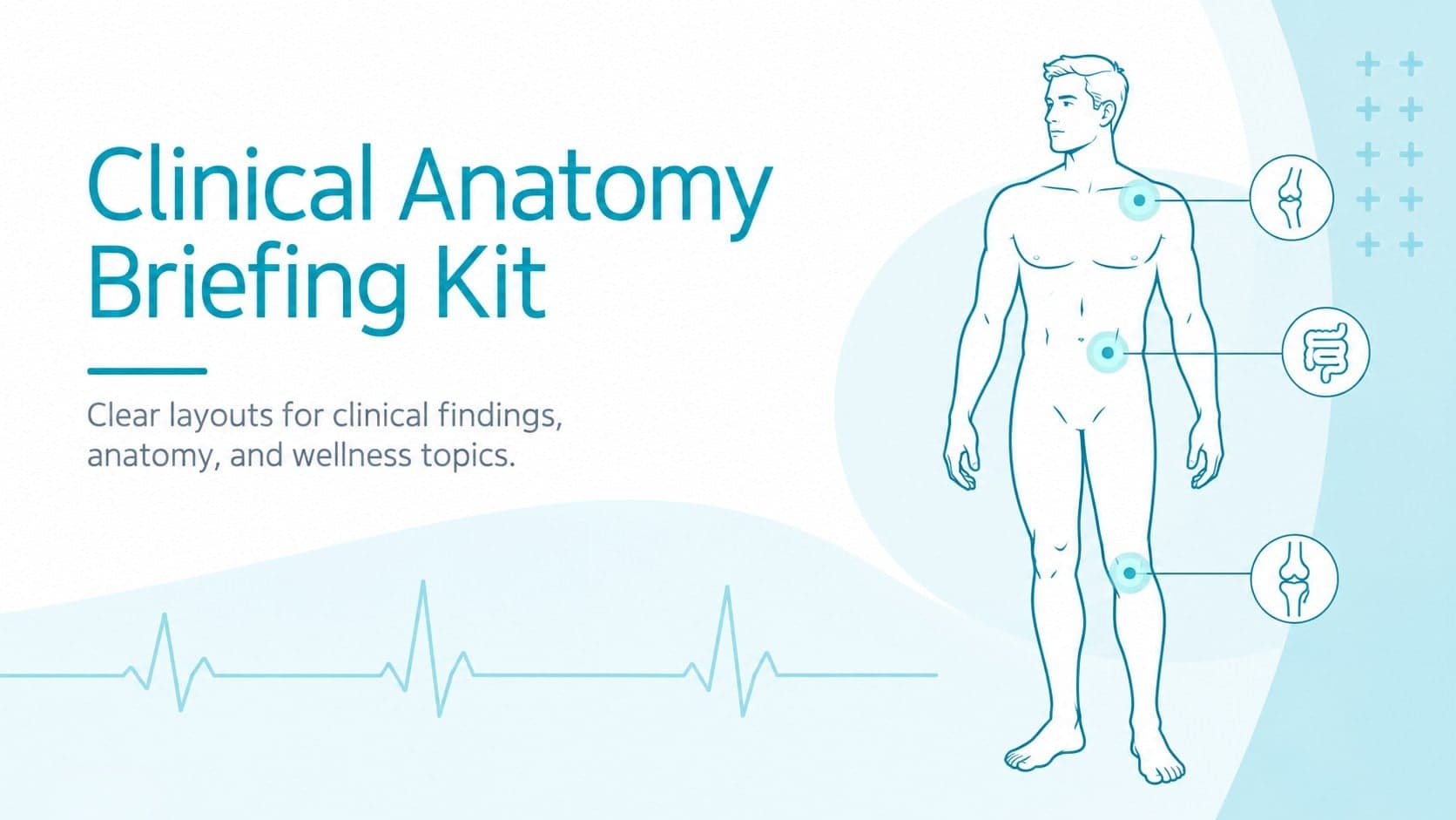 Cover of the Clinical Anatomy Briefing Kit with blue medical graphics and an original anatomical figure.