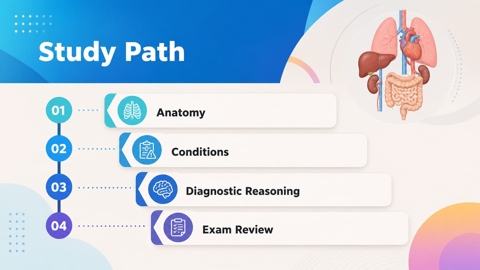 Agenda slide outlining anatomy, diagnosis, review, and clinical study sections.