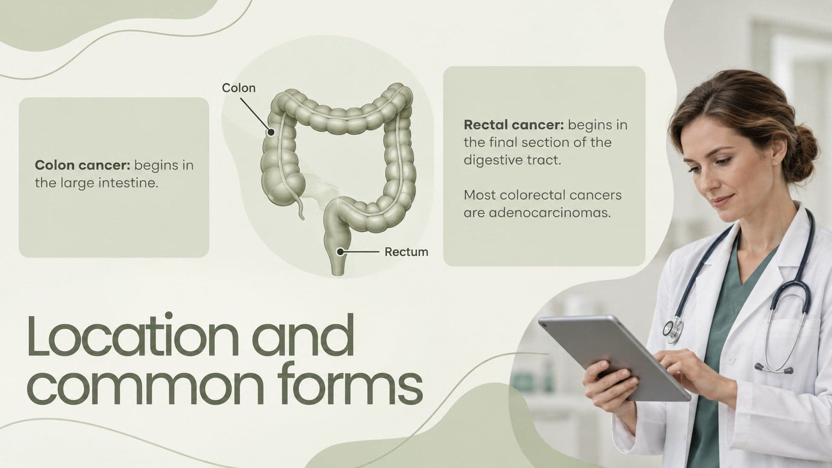 Colorectal cancer lesson slide comparing colon and rectal cancer in a two-part medical layout.