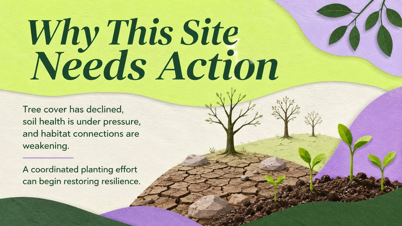 Community planting project slide describing the environmental challenge and the proposed local response.