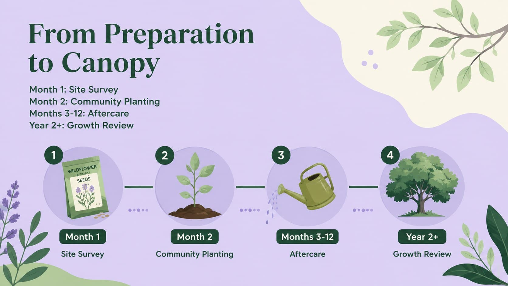 Community reforestation timeline showing preparation, planting, aftercare, and evaluation phases.