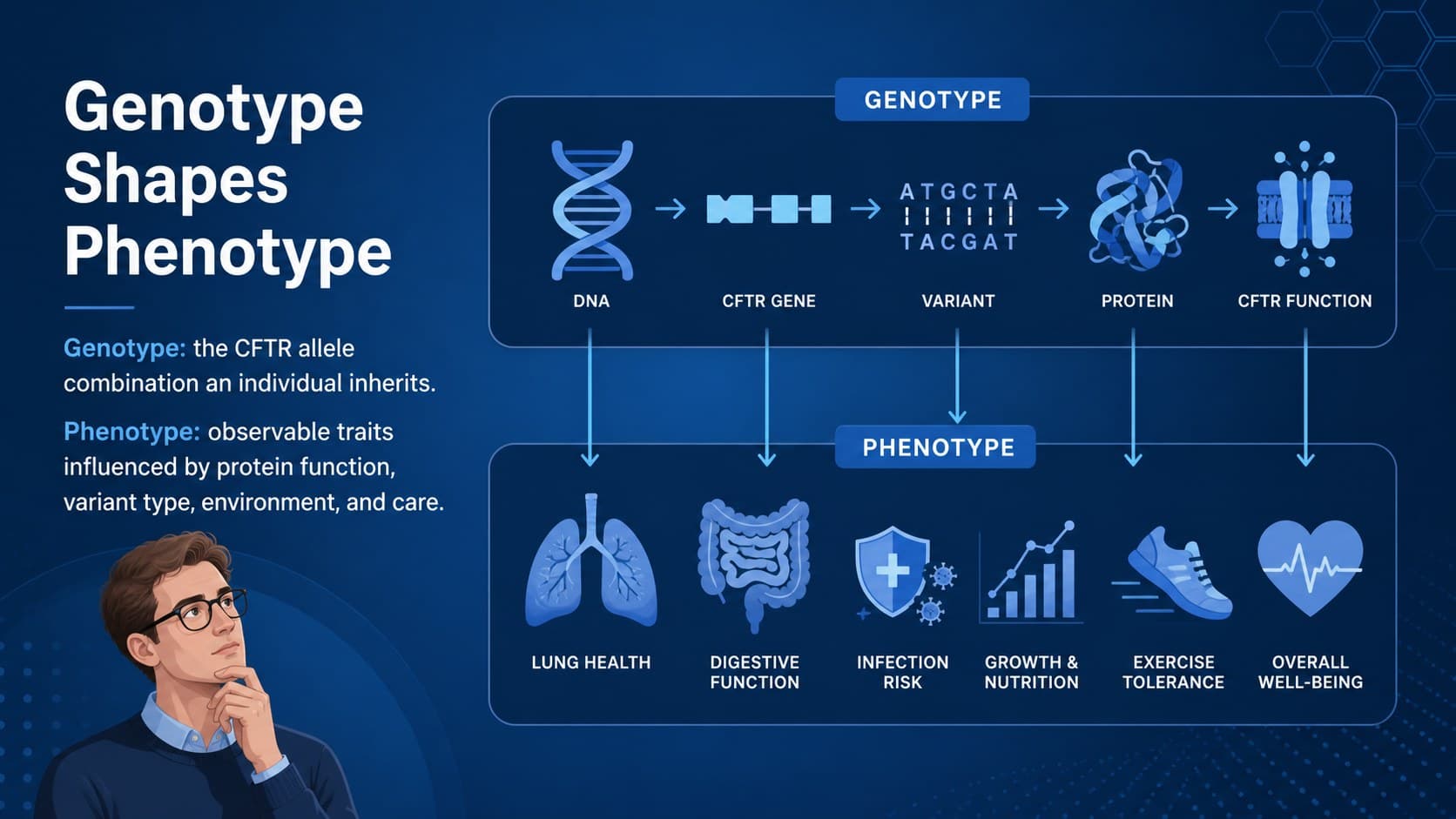 Genotype and phenotype comparison slide for a high school cystic fibrosis genetics lesson.