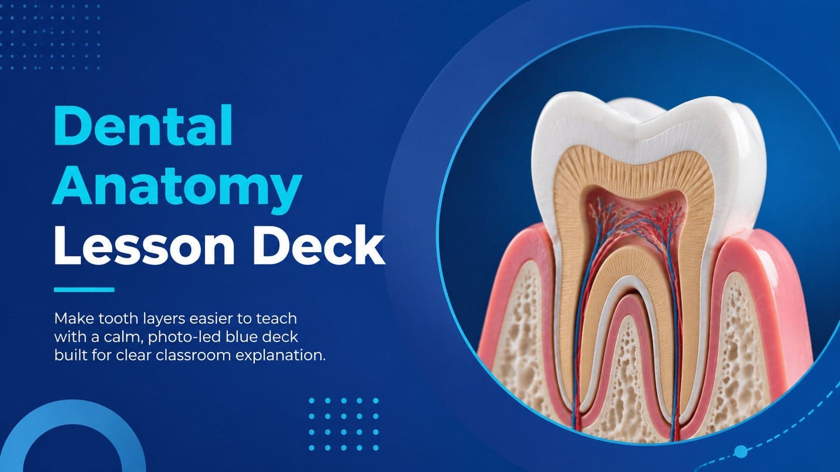 Cover of a blue Dental Anatomy Lesson Deck featuring a clean tooth cross-section image and classroom-focused subtitle.