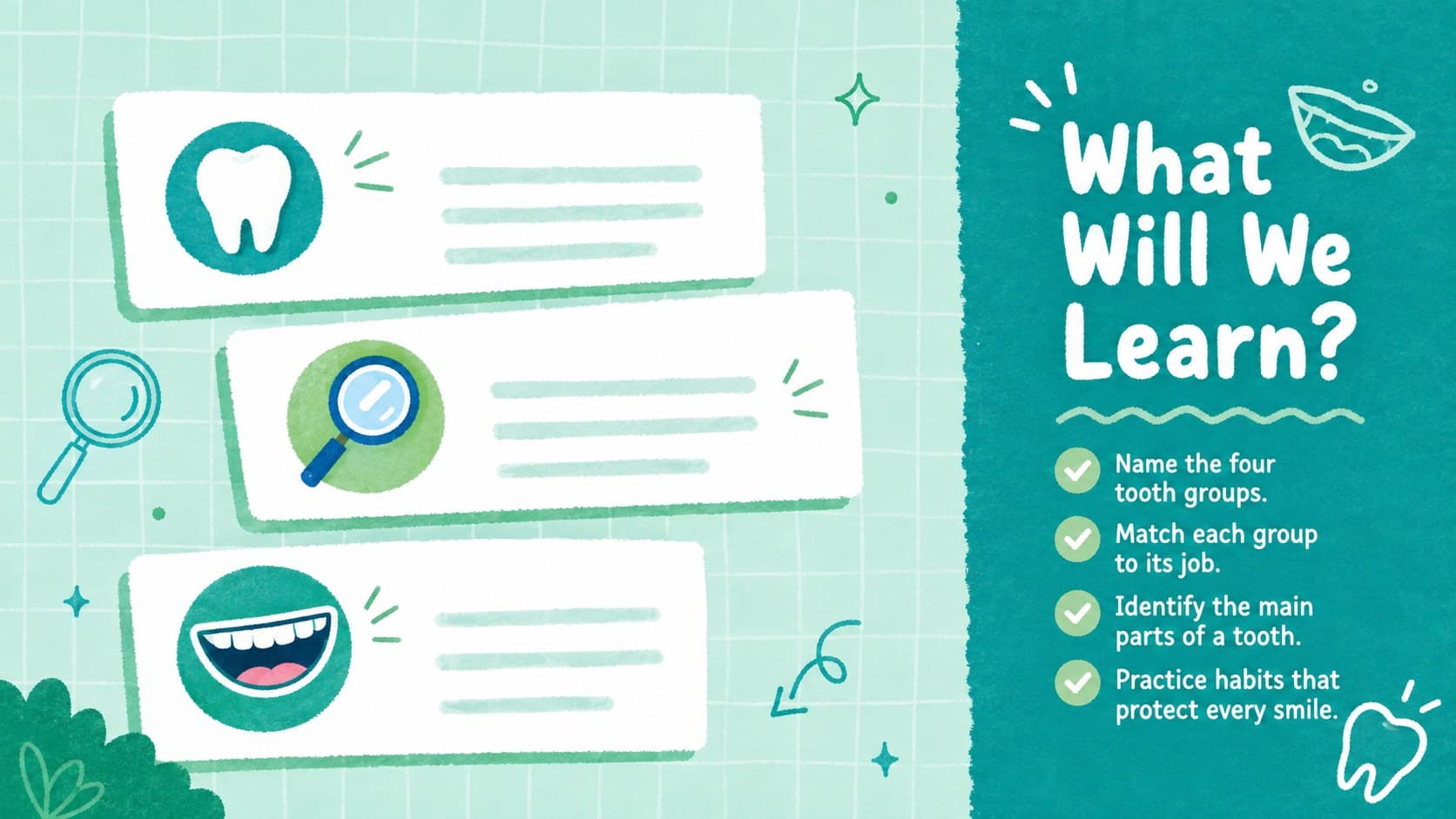 Teal dental anatomy lesson overview listing student learning goals beside original tooth doodles.