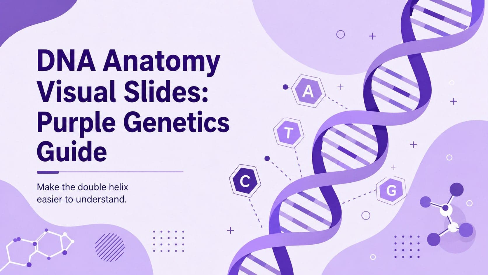 Cover for DNA anatomy visual slides with a purple double helix illustration and modern biology lesson typography.