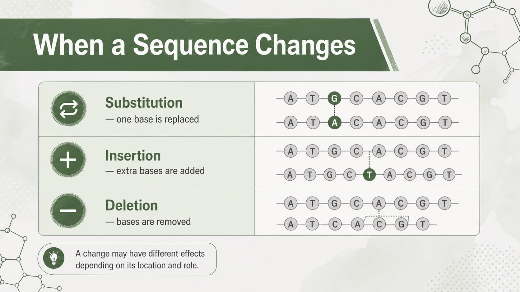 Editable biology lesson deck slide comparing mutation types with a structured scientific layout.