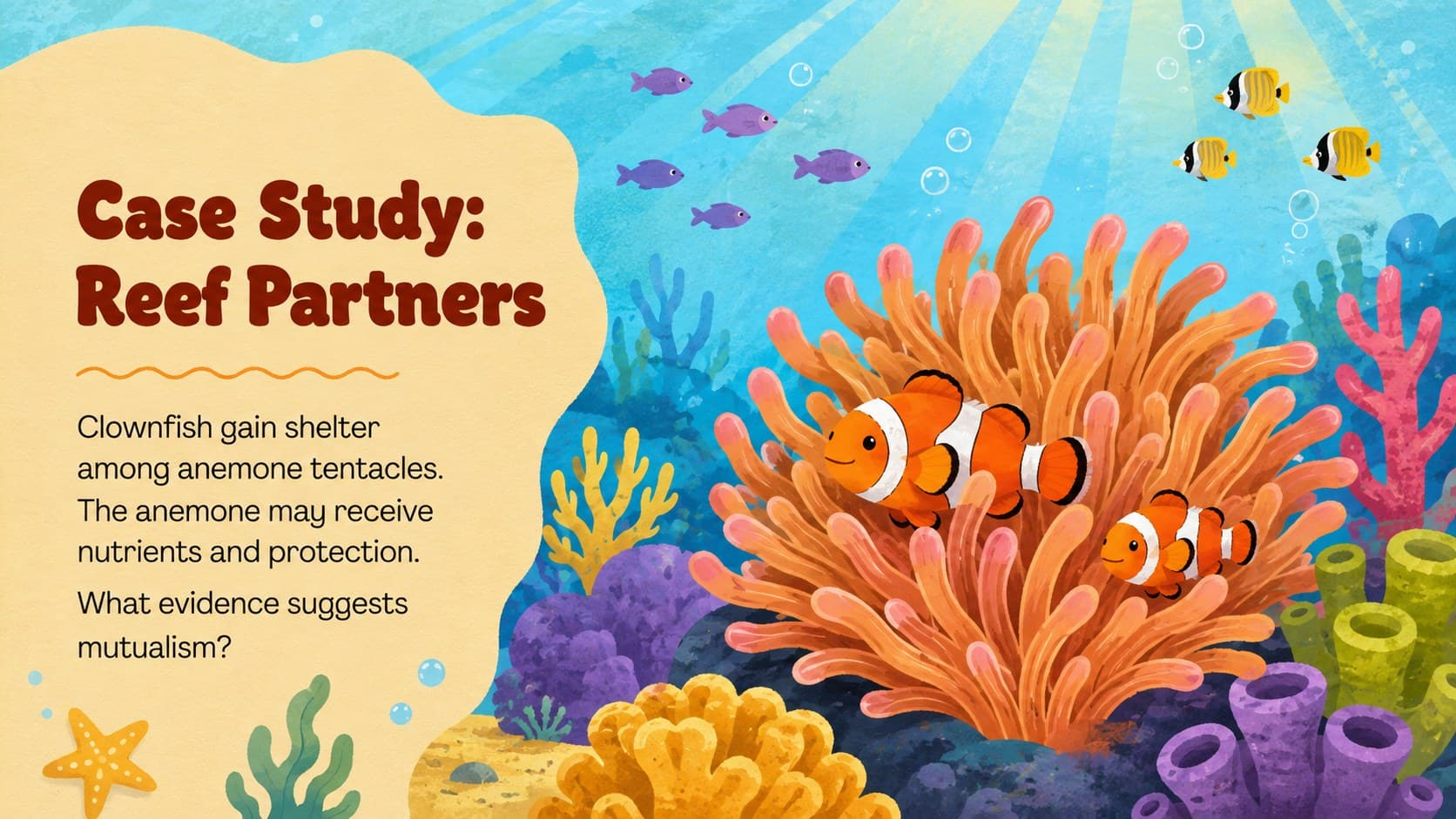 Coral reef case study slide examining mutualism between clownfish and sea anemones.