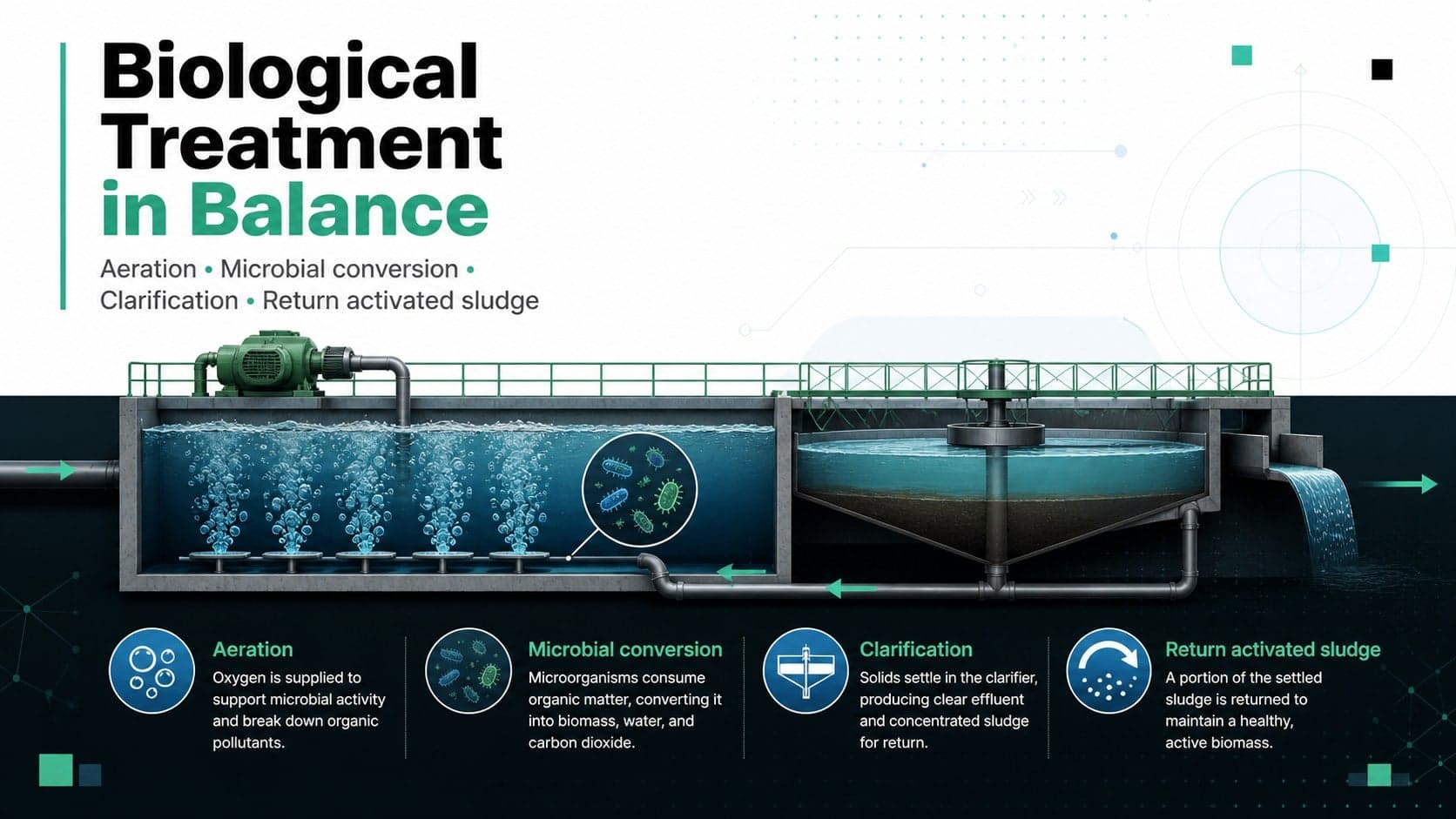 Biological wastewater treatment slide showing aeration, microbial activity, clarification, and return sludge.