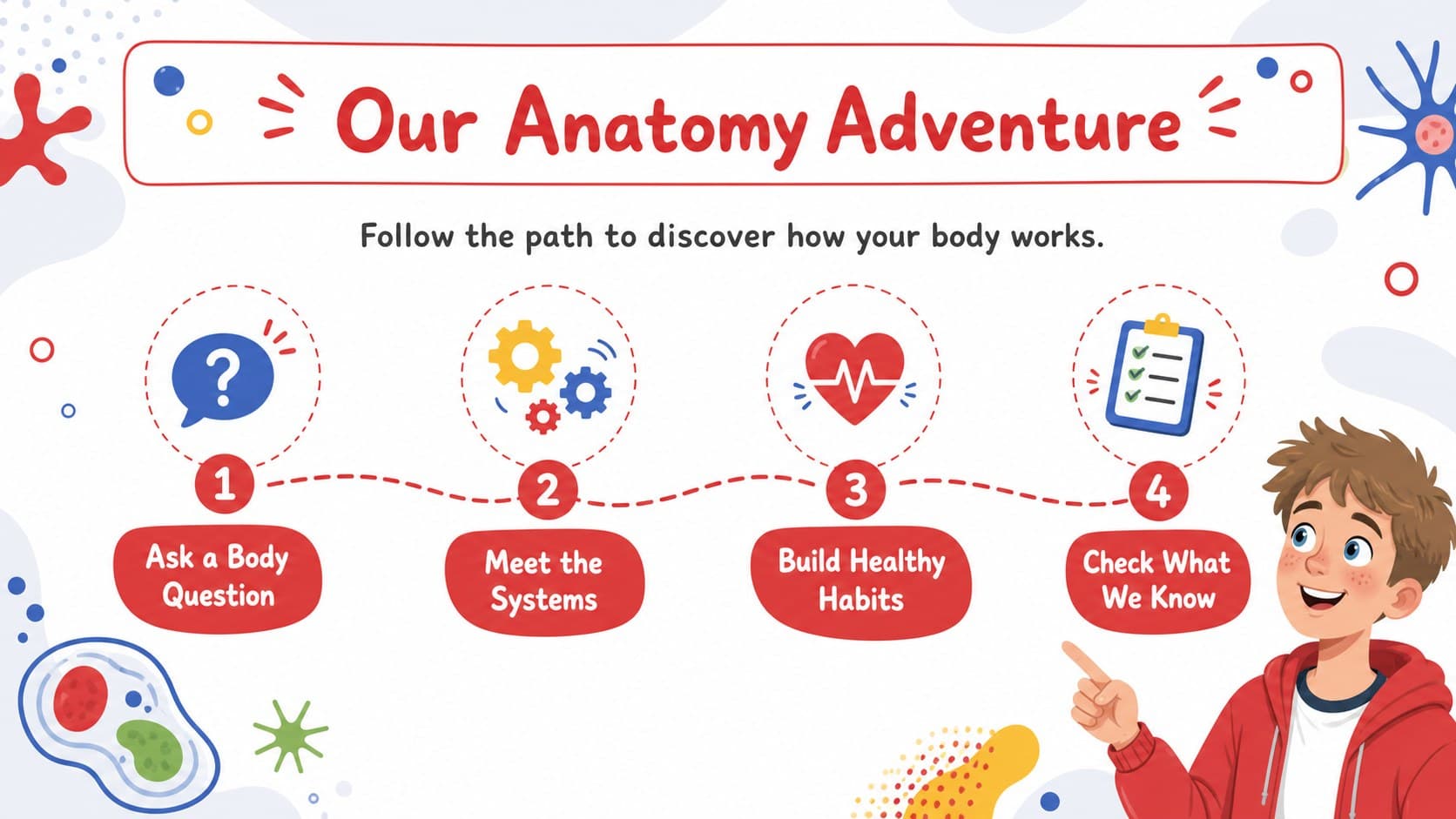 Elementary anatomy lesson agenda presenting questions, body systems, healthy habits, and a knowledge check.