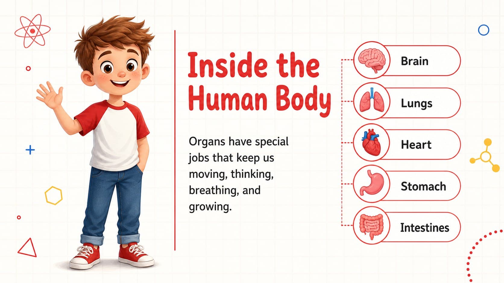 Kids body systems presentation slide showing a child silhouette with major organs and simple labels.