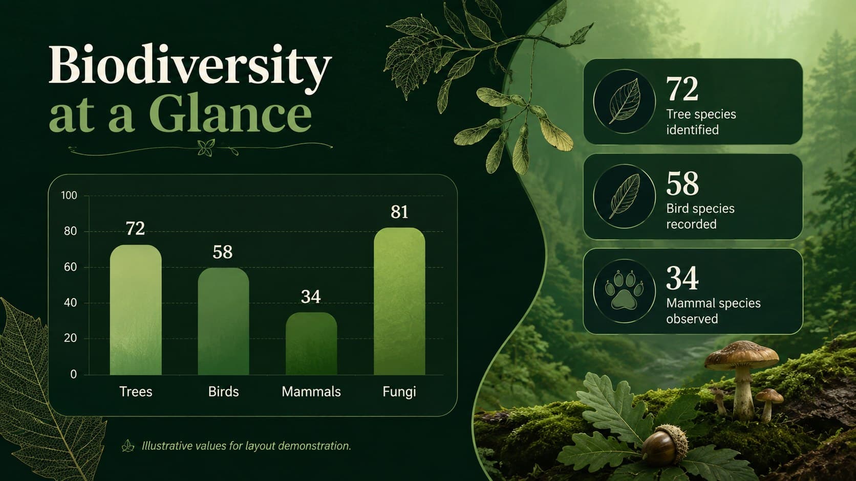 Forest conservation presentation deck slide with a biodiversity bar chart and habitat indicators.