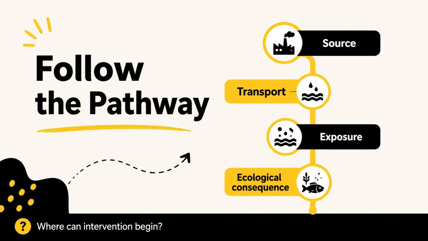 Pollution pathway slide illustrating movement from source to exposure and ecological consequence.