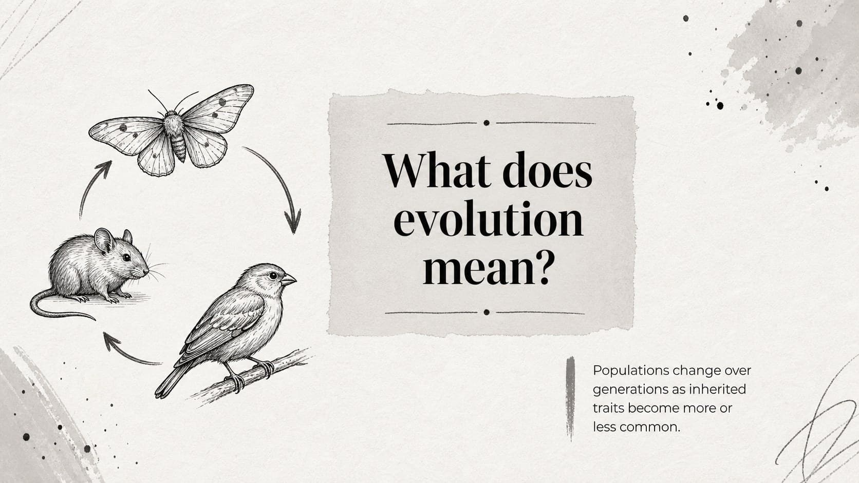 Biology lesson slide defining evolution with a simple illustrated concept and concise classroom explanation.