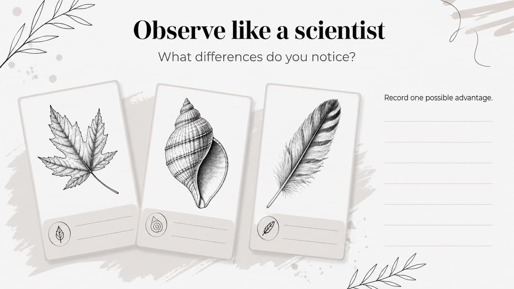 Student biology activity slide with an observation prompt, specimen drawings, and space for classroom responses.
