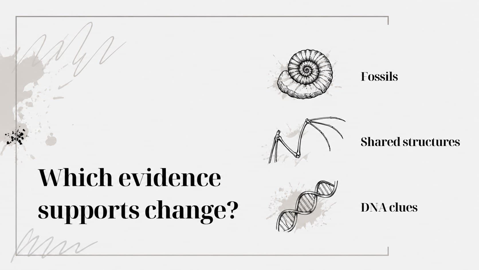 Classroom discussion slide about evidence for evolution with a minimal sketch-based question layout.