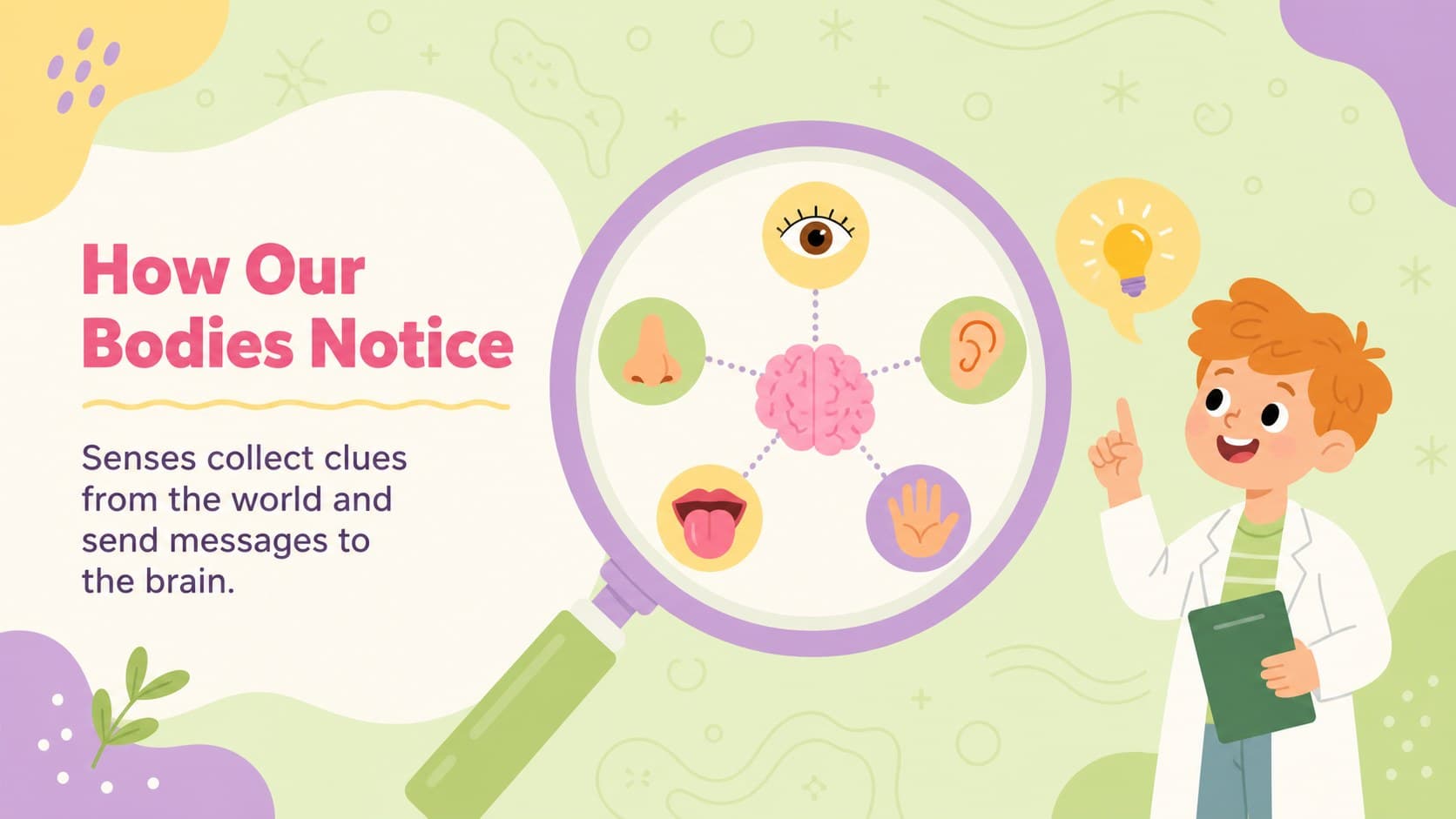 Introductory biology slide explaining how sensory information helps us explore the world.