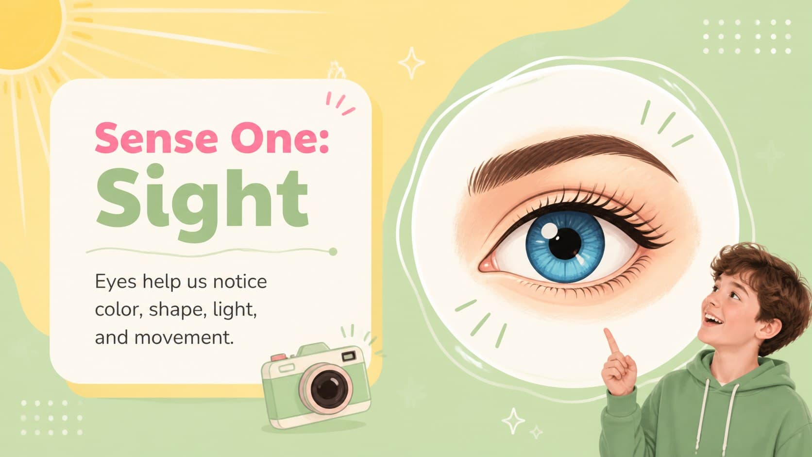 Sight lesson slide with an eye diagram and colorful examples for an elementary anatomy presentation.