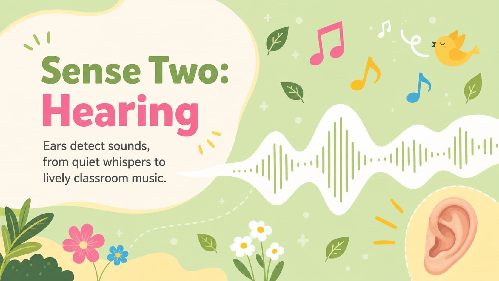 Hearing lesson slide featuring an ear illustration and sound examples for human senses lesson slides.